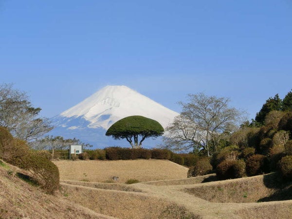 【熊本空港発】 ≪日本100名城めぐり≫ 関東・東海編3日間2
